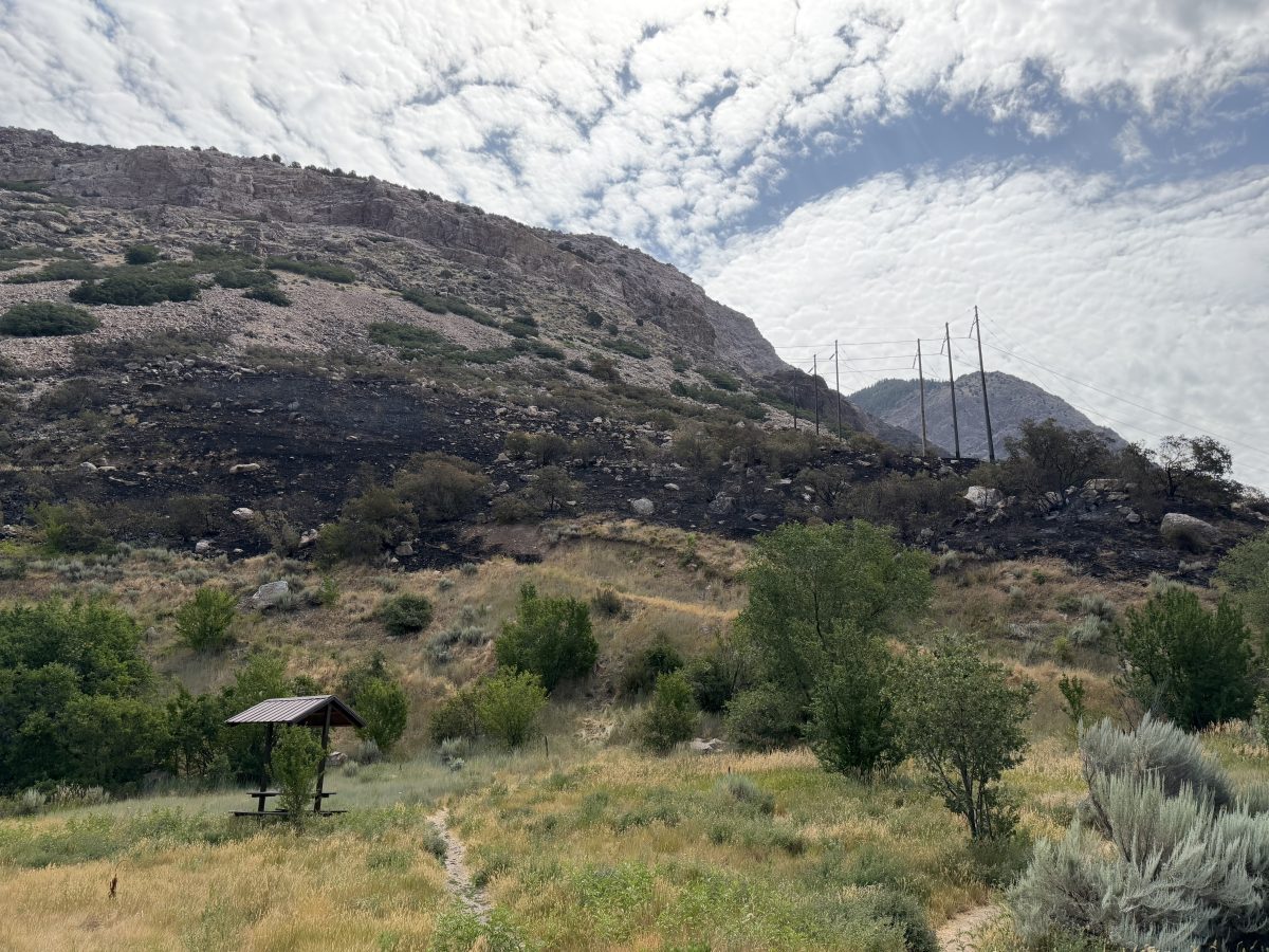 Mountain Road Fire site requires little in the way of cleanup, unlikely to produce mudslides under heavy rain